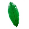 HT108A72 Перо страуса 25-30см, Астра (91 зеленый)
