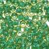 Бисер 10(13) 20г (216 зеленый прозр.) МС