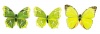 67101015 Бабочки, ассорти, 11см, зеленый, Glorex (1шт/уп)	 Мастери Сама Пенза