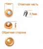 ГД15074 Стразы установочные 6мм (Золото/белый) (10шт)
