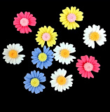 Кабошоны ассорти №5 Ромашка 2см (10шт/уп)