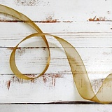 Лента капрон,арт.JF001 099- коричневый 20,0мм*25м 