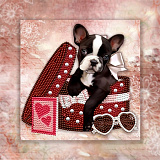 ДА4-164 Схема для вышивания бисером 19*25"Милый подарок" 