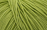 Пряжа ZARA (1548 Св.зеленый) (10шт)100% мерс.шерсть, 125м/50г (10шт)(Filatura di crosa)