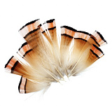 5AS-061 Перья 7-10см, 10шт/упак