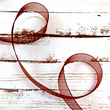 Лента капрон,арт.JF-001 25,0мм*25м 110- шоколад